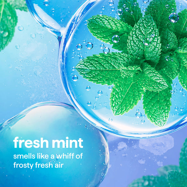 glass cleaner 828ml - mint