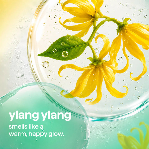 daily shower spray 828ml - ylang ylang