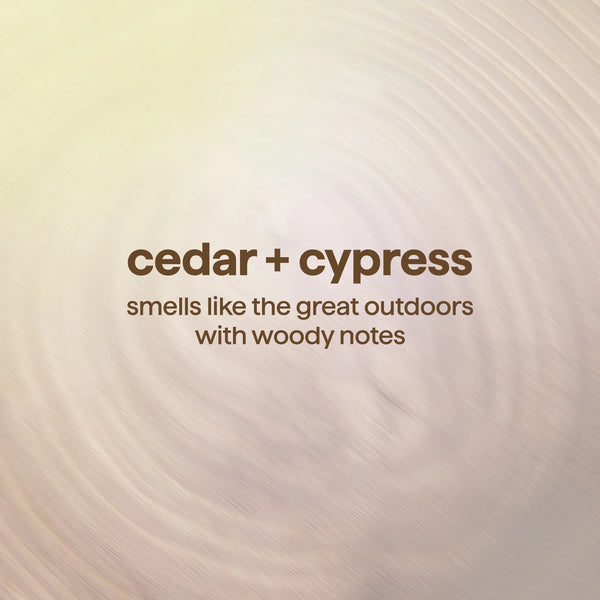 body wash 532ml - cedar + cypress