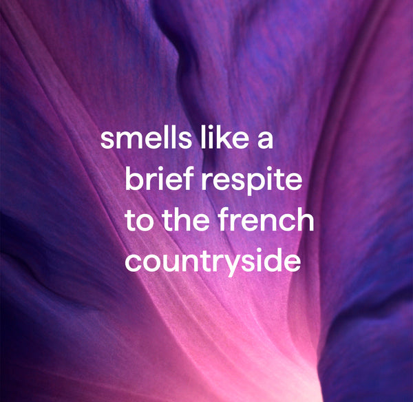 foaming hand wash 300ml - french lavender