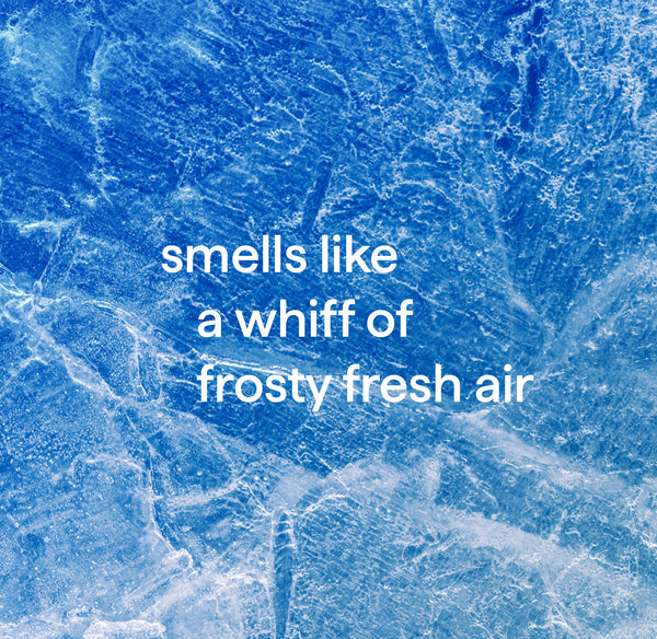 glass cleaner 828ml - mint