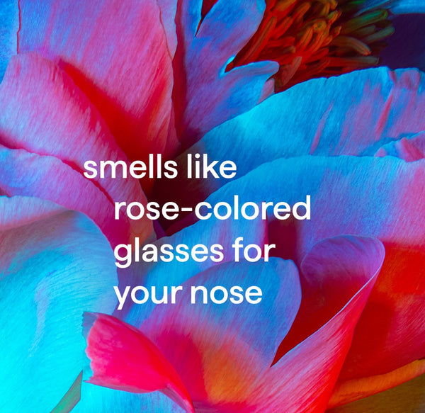 (carton of 6) body wash 532ml - pure peace