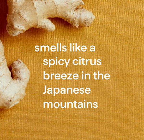 (carton of 6) squirt + mop hard floor cleaner 739ml - ginger yuzu