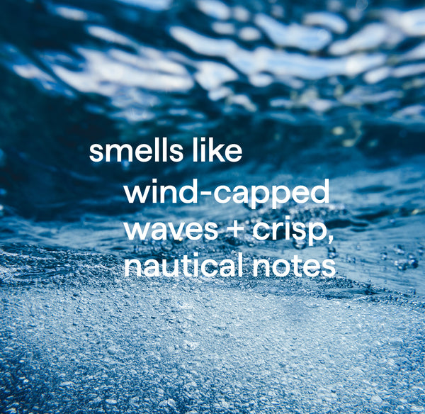 body wash 532ml - sea + surf