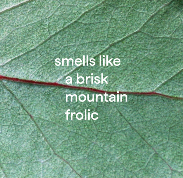 foaming bathroom cleaner 828ml - eucalyptus mint