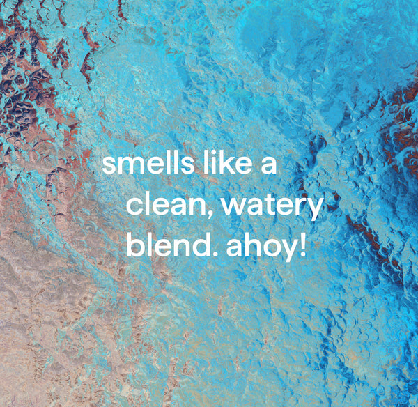 foaming hand wash 300ml - sea minerals