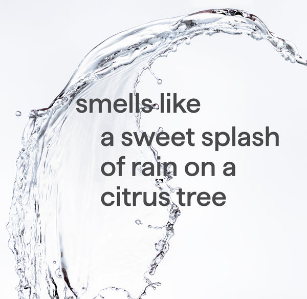 foaming hand wash 300ml - sweet water