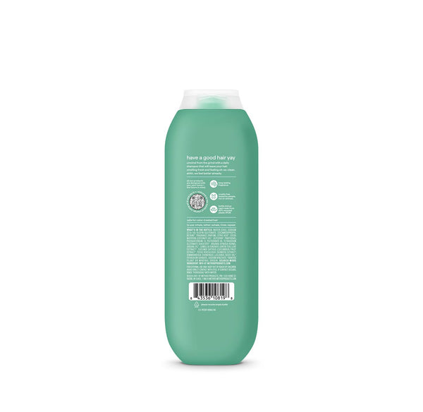 daily shampoo 414ml - daily zen