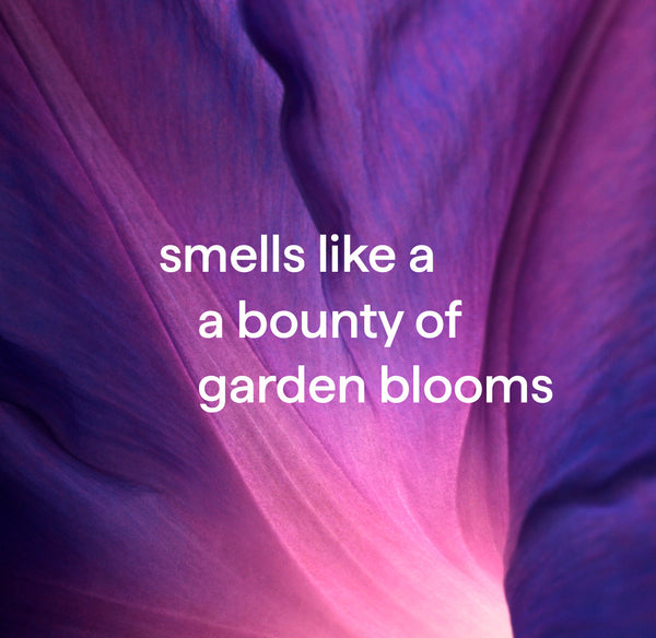 (carton of 3) aluminium gel hand wash - violet + lavender 354ml