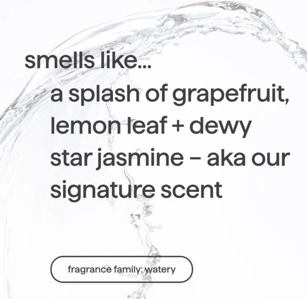 (carton of 4) foaming hand wash refill 828ml - sweet water