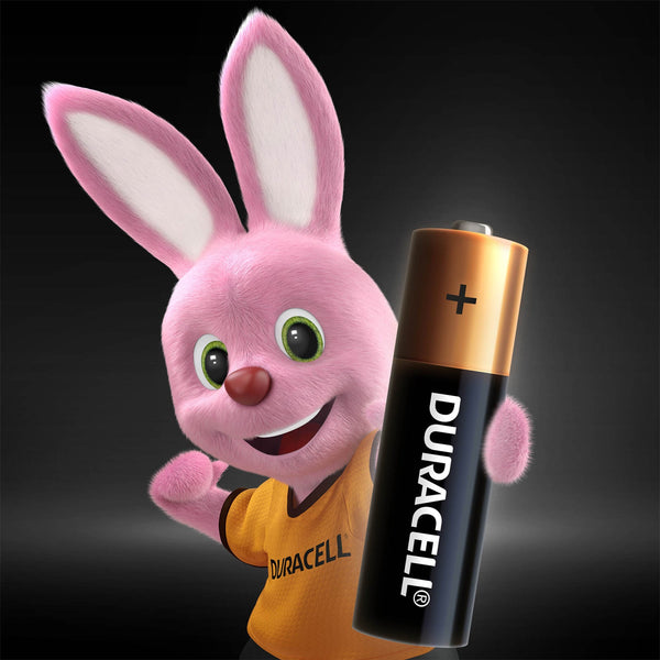 Duracell Alkaline AAA Batteries, pack of 5